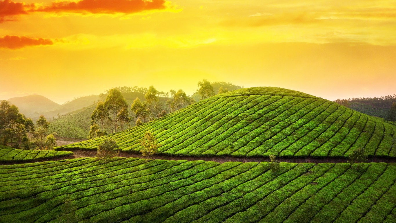 Fascinating Kerala