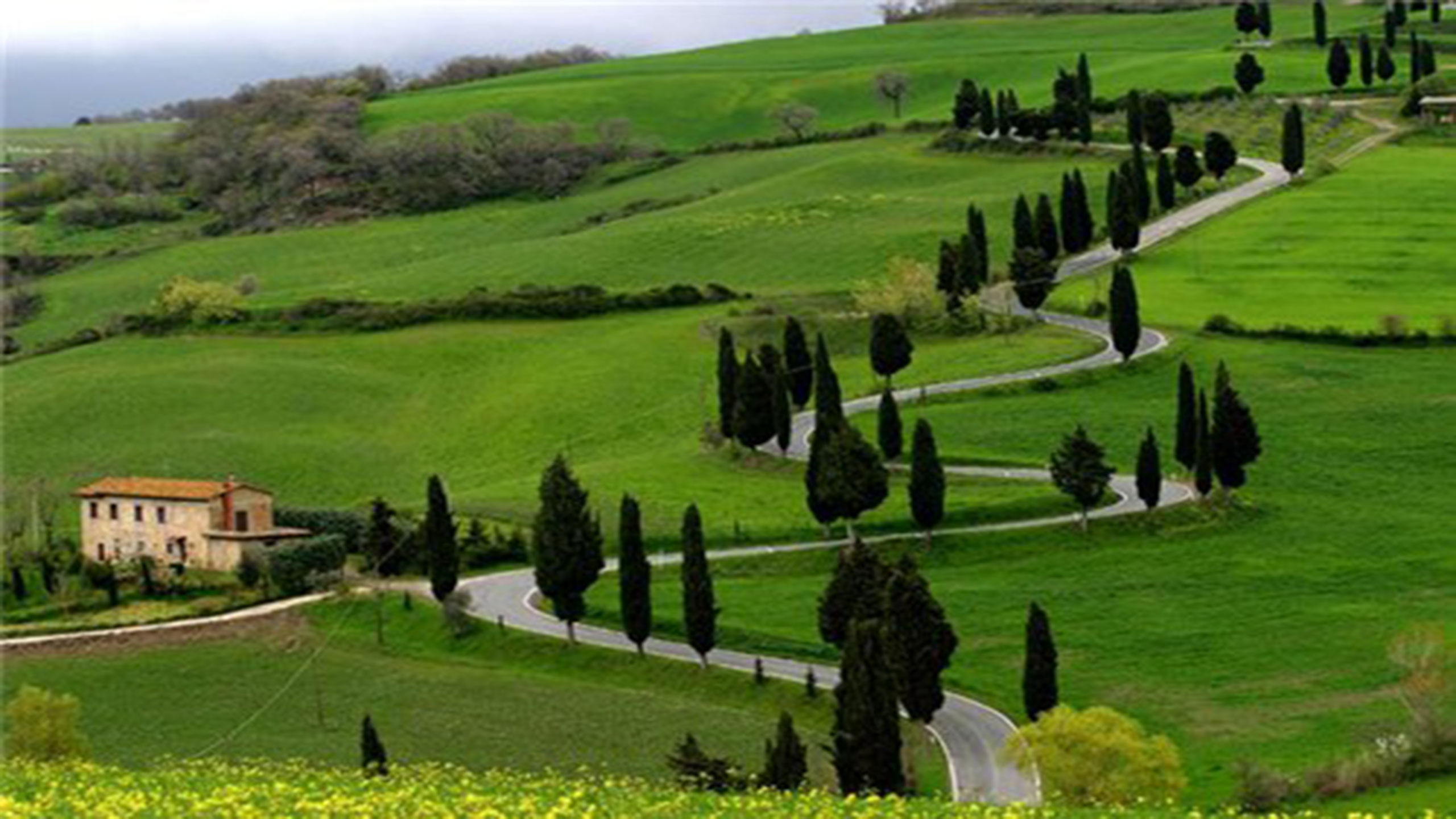 Cream of Kerala with Ooty,Munnar